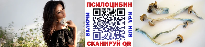 Галлюциногенные грибы прущие грибы  блэк спрут как зайти  Лысково 